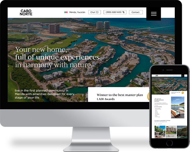Website development