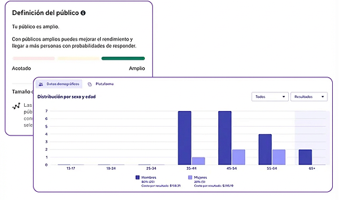 publicidad-digital-campanas-pagadas-grafica-2