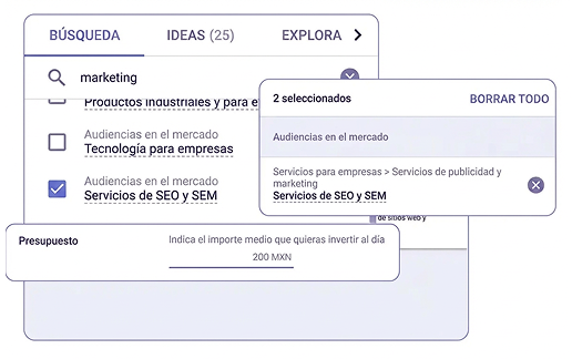 publicidad-digital-campanas-pagadas-grafica-4